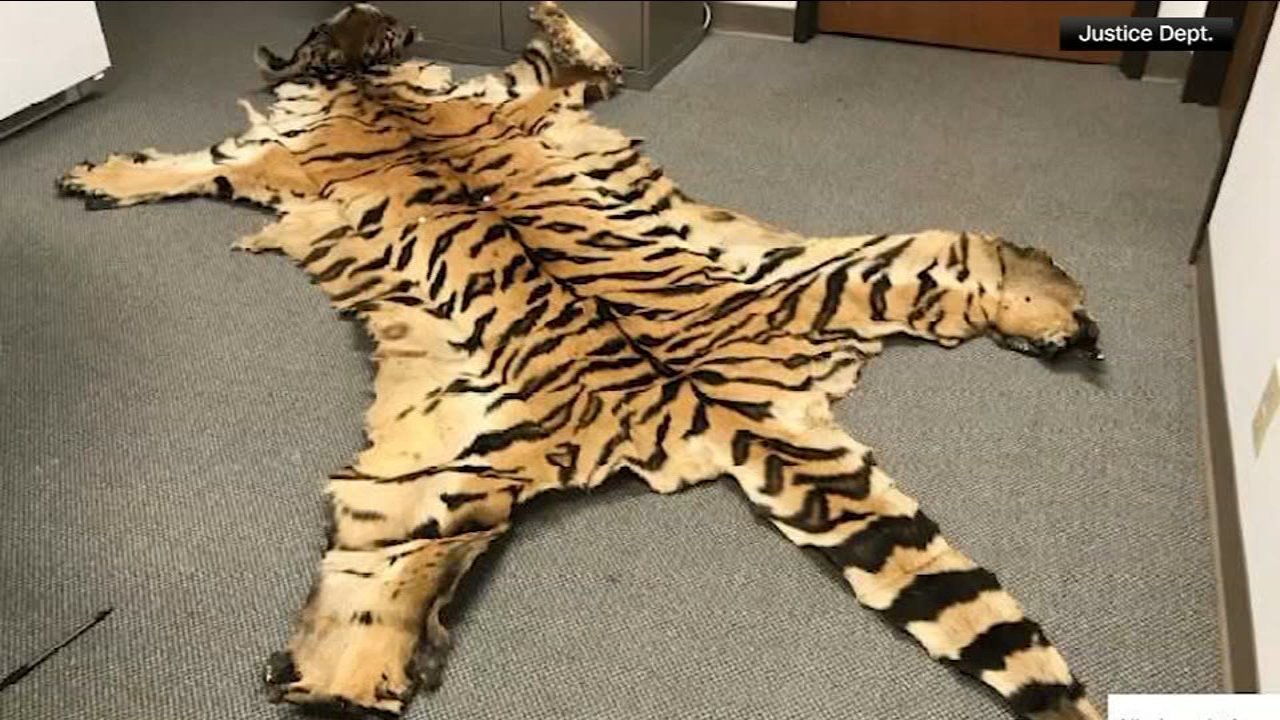 California couple pleads guilty to trafficking wildlife
       — Bryn Mawr Community news
